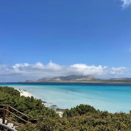 I Pescatori Di Stelle-l10 Sirio Casa vacanze *