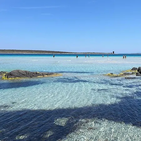 I Pescatori Di Stelle-l10 Sirio * Stintino