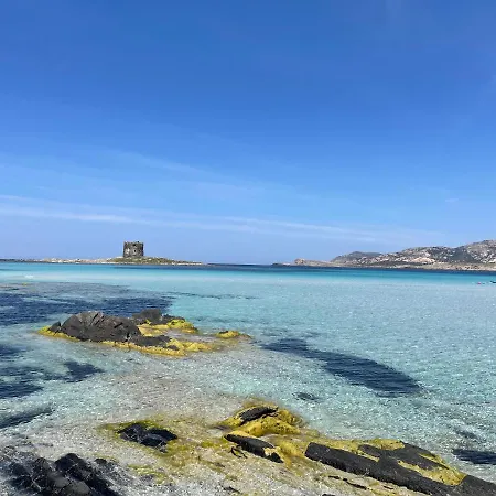I Pescatori Di Stelle-l10 Sirio *