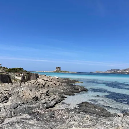 I Pescatori Di Stelle-l10 Sirio Stintino