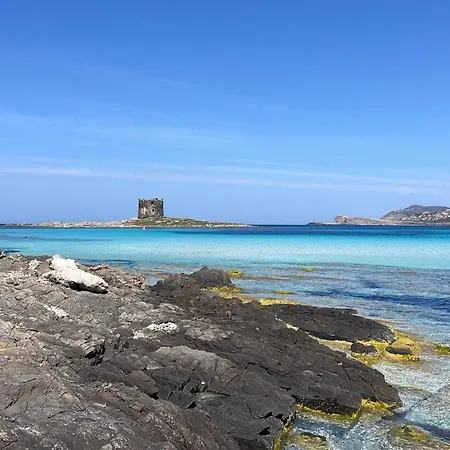 I Pescatori Di Stelle-l10 Sirio Casa vacanze *